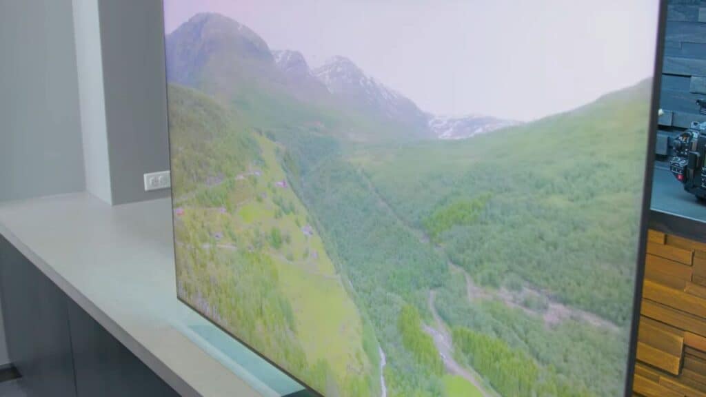 Samsung QN800C Smart TV Panel and Picture Quality